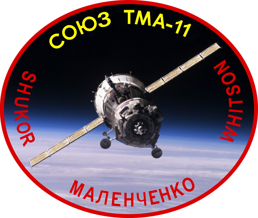 Mission patch for Soyuz TMA-11